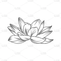 写生花的线条艺术。抽象手绘矢量图。植物艺术设计版画，家居装饰，封面，墙纸，简约和自然的墙壁艺术海报