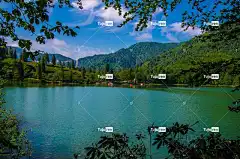 目标 笔记本电脑壁纸 森林 壁纸4K 绿色 4K壁纸1920X1080