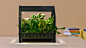 The KRYDDA/VÄXER series, an indoor gardening series by IKEA