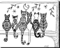 zentangle cat - Google Search: