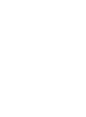 光效 (2)