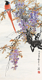 “ 紫藤花鸟 … ”丨乔木 · 绘 ​ ​​​​