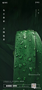 地产微信-雨水