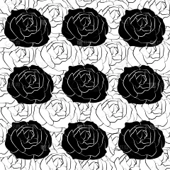 玫瑰,背景,白色,自然,图像,壁纸,婚礼,自然美,花,装饰