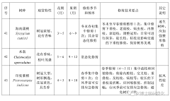 彗心呀采集到植物养护