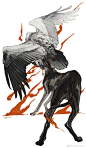 -Nightcrow-插画093