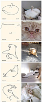 养猫千日，用在一时。猫咪简笔画教程，这可能就是传说中的灵魂画手吧。

(佚名侵删)#手帐素材插画手绘##艺术范##简笔画# ​​​​