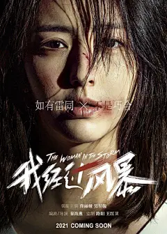 电影海报-我经过风暴 (2)
