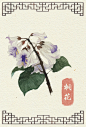 水彩手绘花卉 