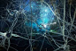 “neural”的图片搜索结果