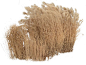 cutout plant grass: 