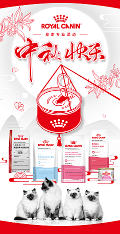 hoo123采集到工作记录