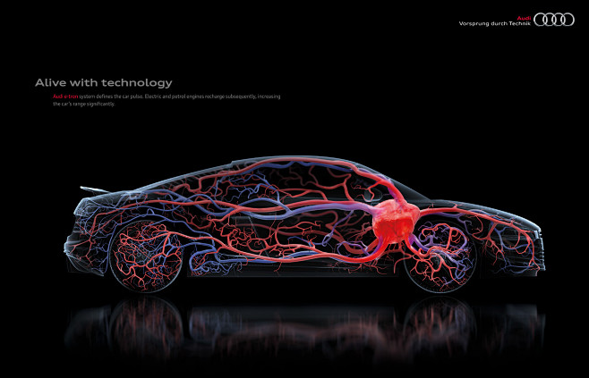 Audi Anatomy: Alive ...