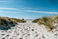 Sandy beach with green grass