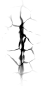 T_Decal_20005_H