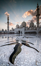 Sheikh Zayed Grand Mosque, Abu Dhabi
谢赫扎耶德大清真寺，阿布扎比