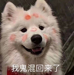 xiao妖焰采集到图片