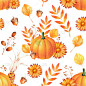 色彩丰富的十月南瓜、叶子、橡子和花朵无缝搭配。秋天水彩背景。