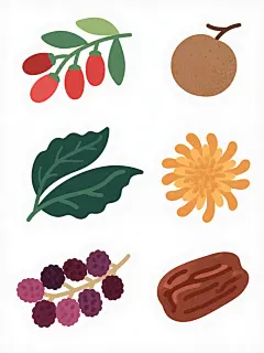 一组六个不同中药材元素的系列插画集合，保持与原图一致的平面卡通插画风格，每个元素均以独立的白色背景呈现，规整排布。元素包括：1. 红色枸杞果实与绿色枝叶的组合，形态自然下垂；2. 棕色饱满的桂圆果实，带少量枝干；3. 深绿色卷曲的茶叶叶片，边缘有自然波浪；4. 橙黄色的干菊花，花瓣呈放射状排列；5. 紫红色的桑葚果实，成串生长；6. 棕褐色的干红枣，带有纵向纹理。所有元素均采用相同的明亮色彩、平滑线条和简洁造型，确保整体视觉风格统一，无任何文字或装饰元素。