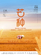 地产节气之芒种-素材库-sucai1.cn