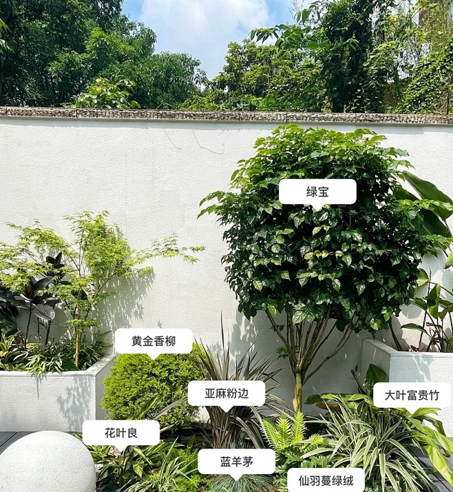 植物配置实景 (169)