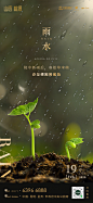 雨水海报