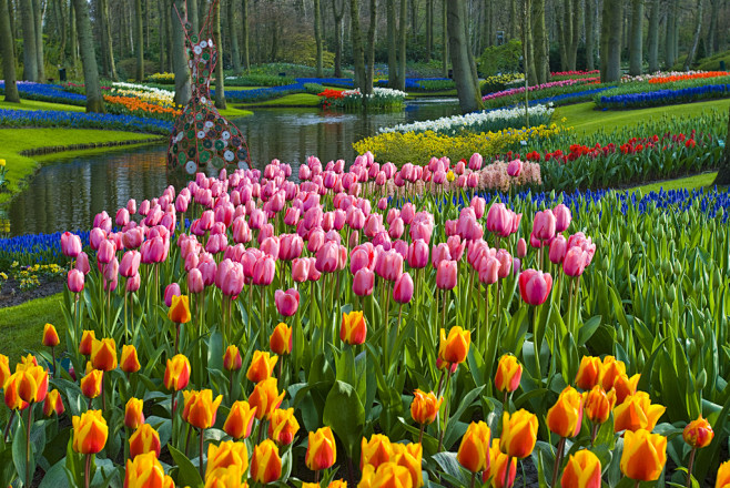 荷兰库肯霍夫(keukenhof)公园1...