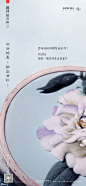 融创·揽月府