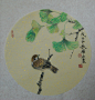 四川成都著名工笔花鸟画家罗原老师历年作品欣赏