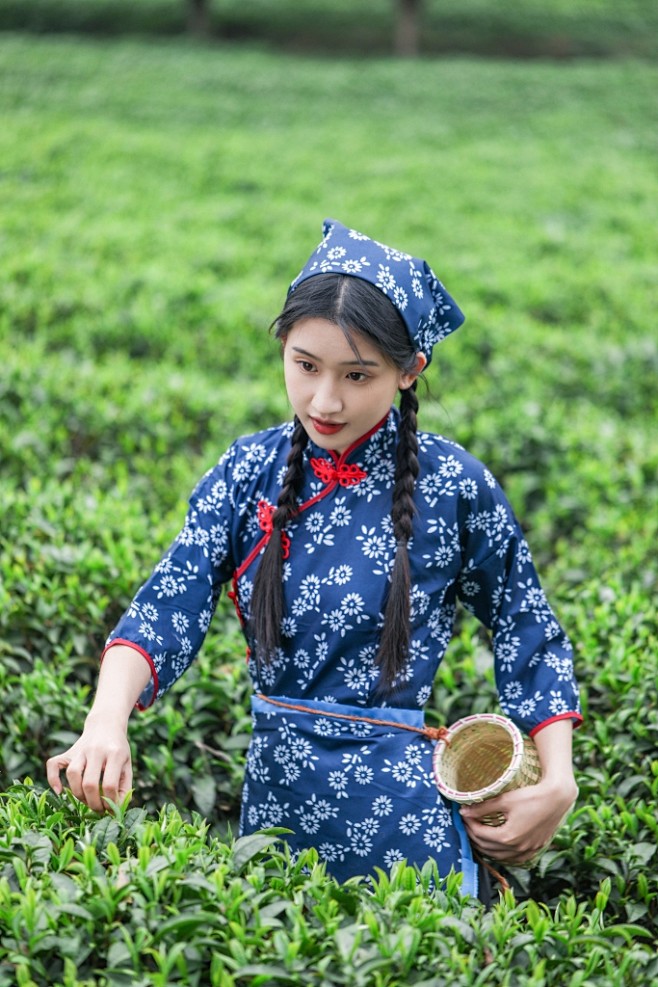小竹篓采茶少女茶叶茶园人物摄影图