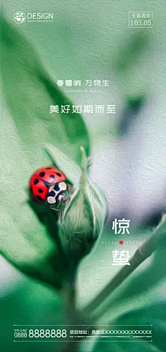 【素材能量站】节气 惊蛰 立春|994354 