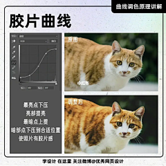 月moonrise升采集到教程