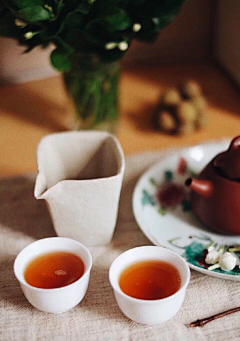 蓝草衣采集到茶