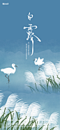 白露插画节气海报-志设网-zs9.com