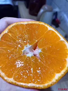 新鲜澳洲进口柑橘5斤装2PH澳柑新鲜澳洲甜蜜桔子橘子水果顺丰包邮-淘宝网