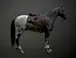 More game ready horses, Pogar Marius : So these are the other horses versions that I have done. I hope you like it!
Time to put them on gumroad