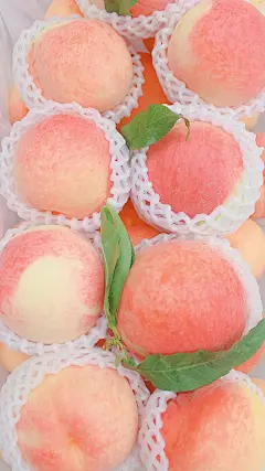 热门 - 热门微博 - 微博 _手机壁纸-风景_T20211217 