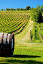 Barrel in Vineyard, Volterra,Toscana, Italia, photo by BBMaui's photostream Wine Country, Country Life, Country Living, Pisa, Places To Travel, Places To See, Magic Places, Under The Tuscan Sun, Tuscany Italy
