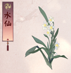 xiaoling201011采集到花