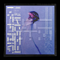 复古机能赛博朋克专辑CD封面包装塑料袋设计展示贴图PSD样机模板-淘宝网