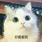 来自相册