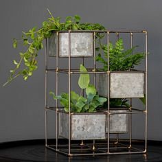 Plant tower