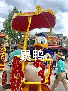 每天都要开心鸭！好多鸭鸭表情包！