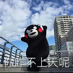 #熊本表情包##Kumamon##表情包# 第九弹 期末考完爽的飞起！快夸我勤快！