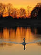 Sunset by the lake, Netherlands