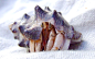 Land Hermit Crab - Pebbles by alilone on deviantART