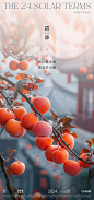 霜降海报