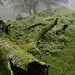 {大自然}实拍植被00（树，盆栽）