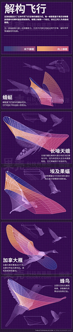 讲道理的基先生采集到基情草履虫