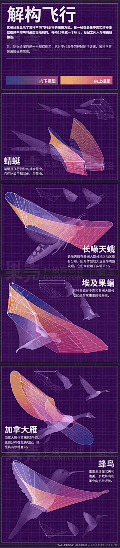 tao喵采集到技术贴